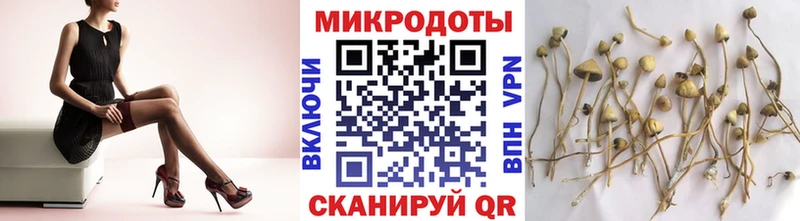 Галлюциногенные грибы Cubensis  Покачи 